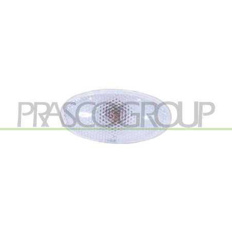 Feu d'aile avant valable côté chauffeur et côté passager