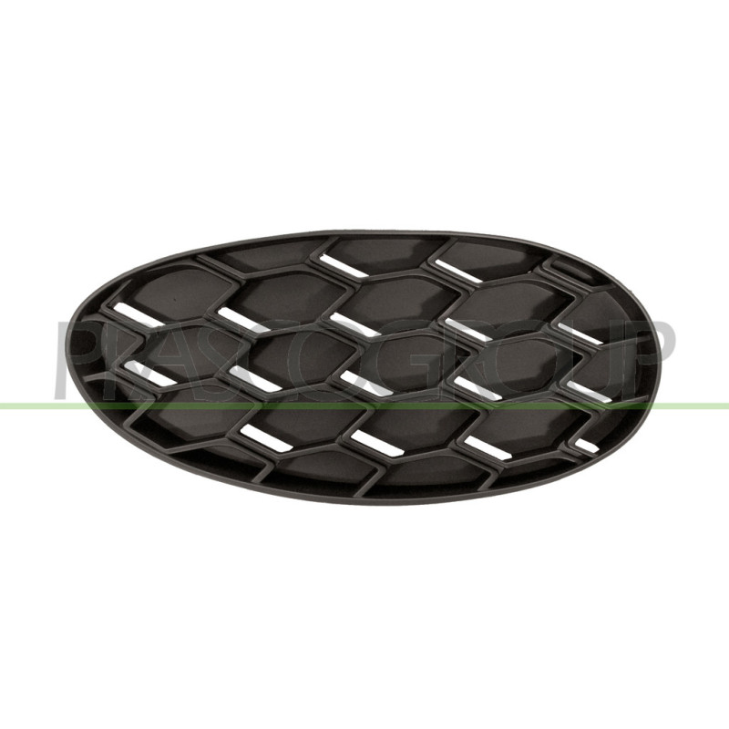 Grille de pare-chocs avant côté passager