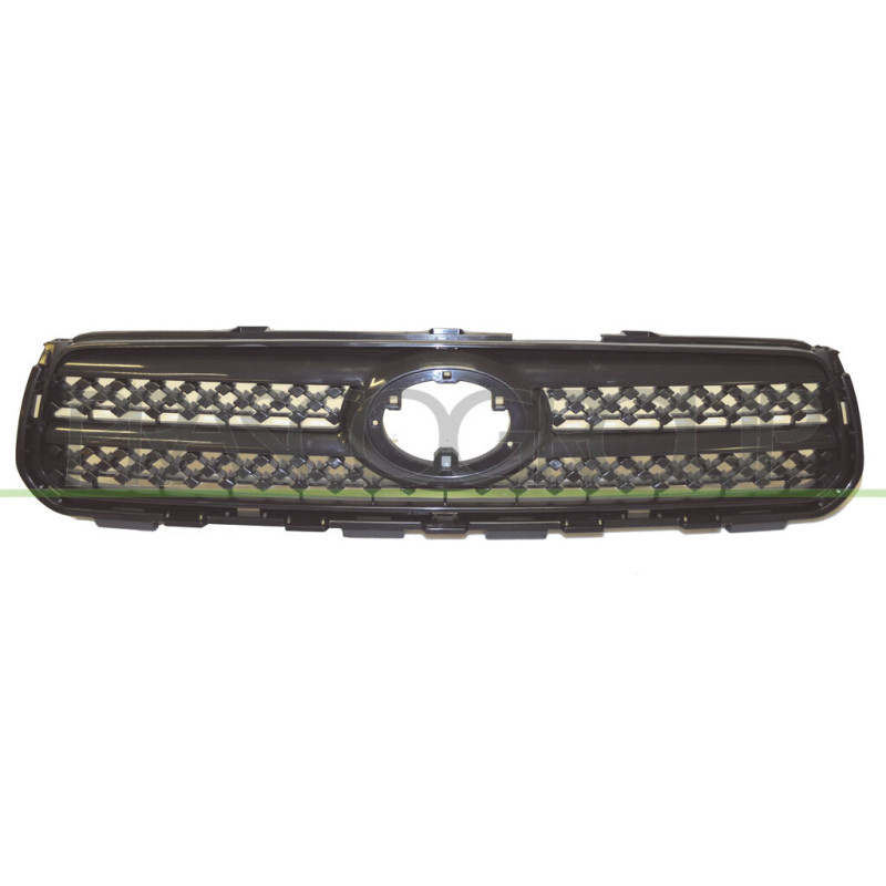 Grille de calandre noir avec moulure noir