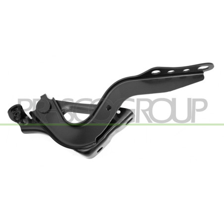 Compas de capot côté passager