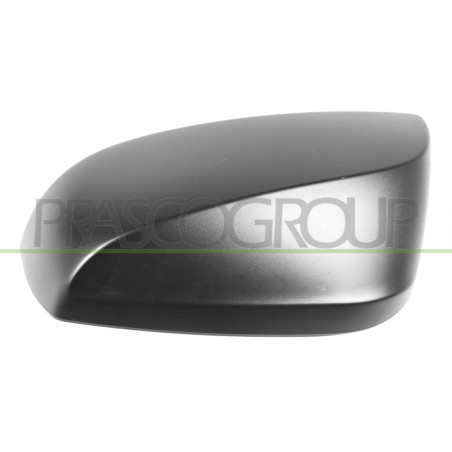 Coque de rétroviseur noir côté chauffeur