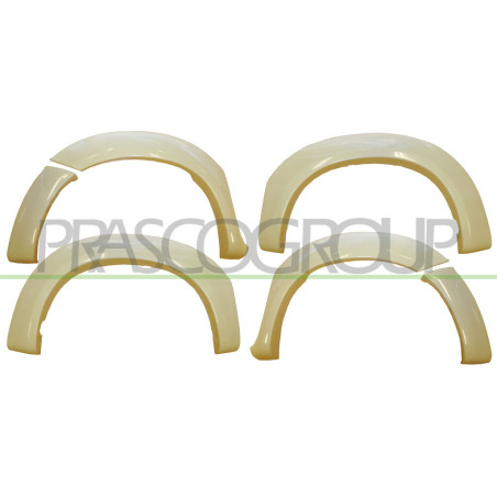 Jeu d'enjoliveurs d'aile