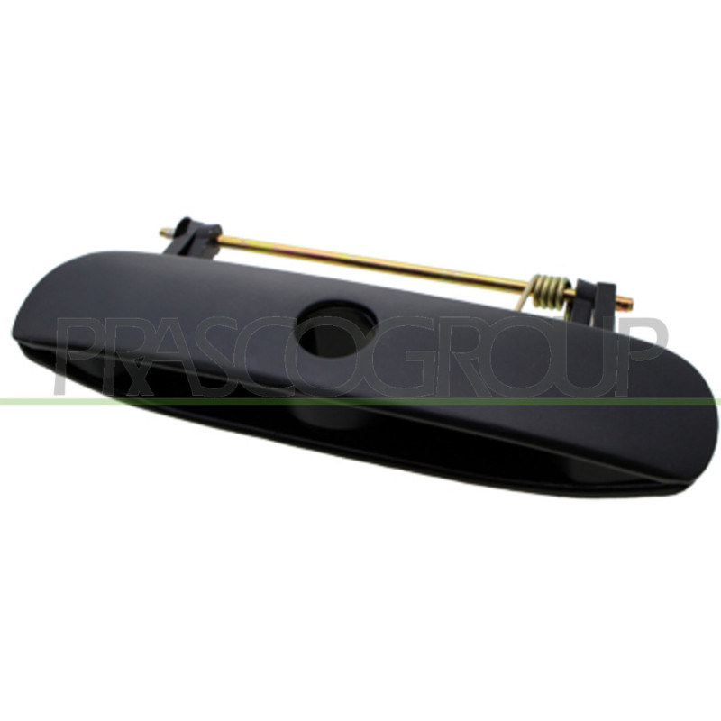 Poignée extérieure noir de hayon