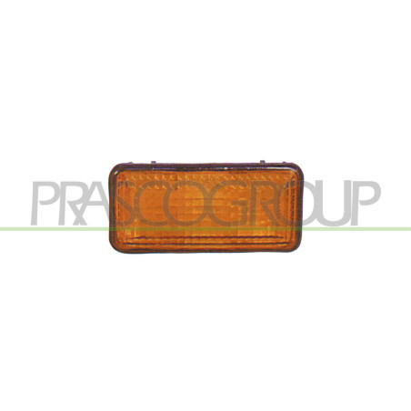 Feu d'aile avant valable côté chauffeur et côté passager