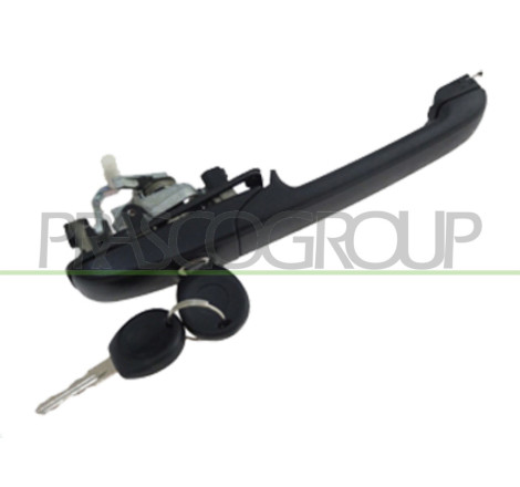 Poignée extérieure noir de porte avant côté chauffeur