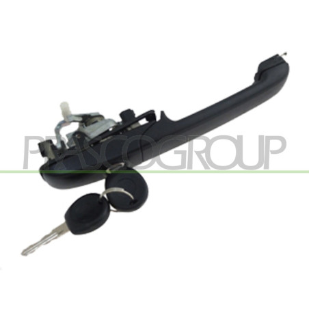 Poignée extérieure noir de porte avant côté chauffeur