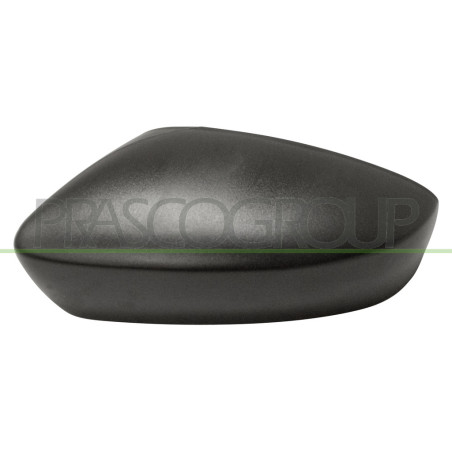 Coque de rétroviseur noir côté chauffeur