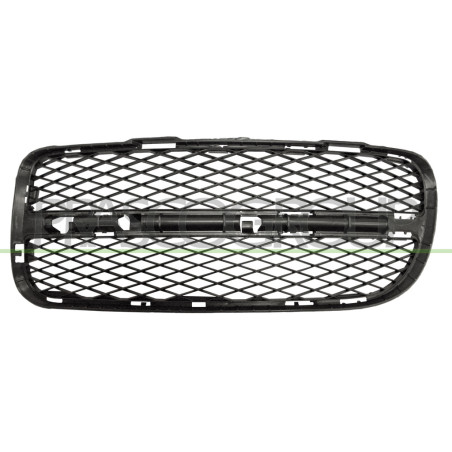 Grille de pare-chocs avant côté chauffeur