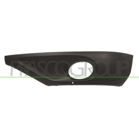 Grille de pare-chocs avant côté chauffeur