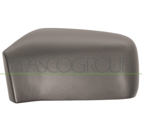 Coque de rétroviseur noir côté chauffeur