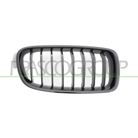 Grille Calandre côté passager Chromee/Noire Mod. M Tech
