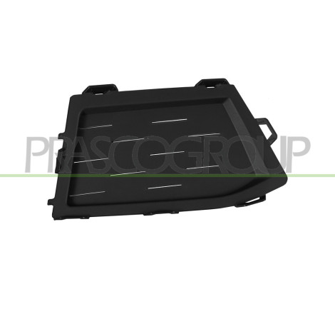 Grille de Pare-Chocs côté passager-Interieure