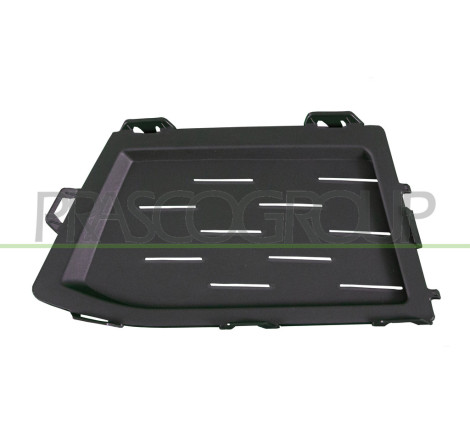 Grille de Pare-Chocs côté chauffeur-Interieure