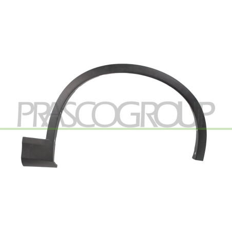 Extension d'Aile avant côté passager-Noire Structure'