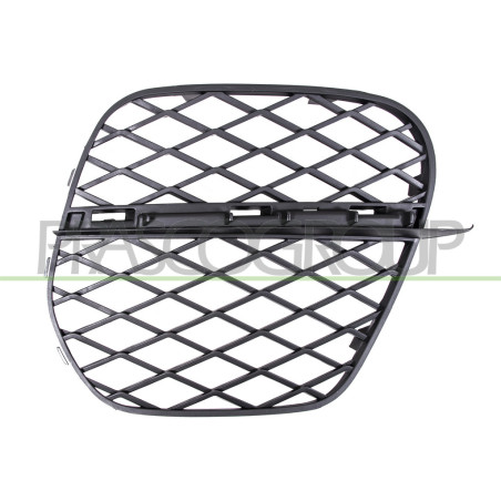 Grille de Pare-Chocs côté passager