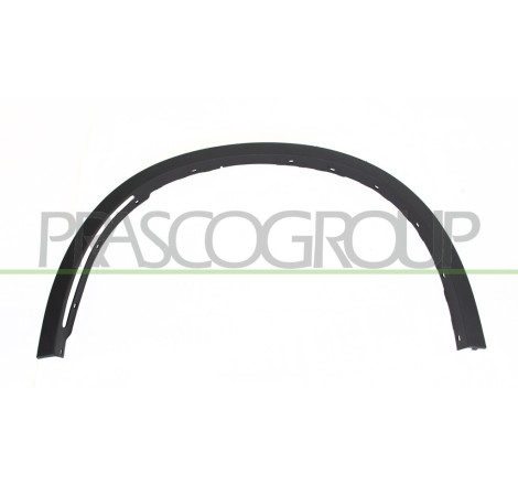 Moulure Aile avant côté chauffeur-Noir Structure'