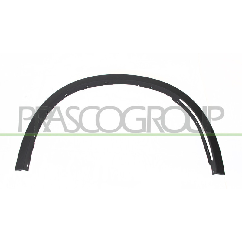 Moulure d'Aile avant côté passager-Noire