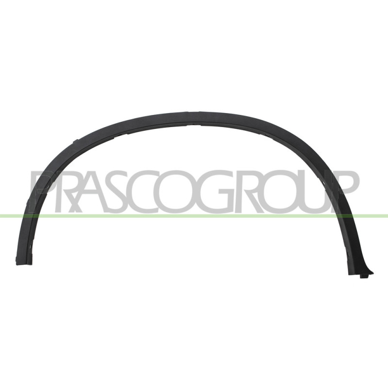 Extension d'Aile arrière côté chauffeur-Noire Structure'