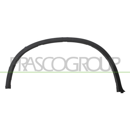 Extension d'Aile arrière côté chauffeur-Noire Structure'