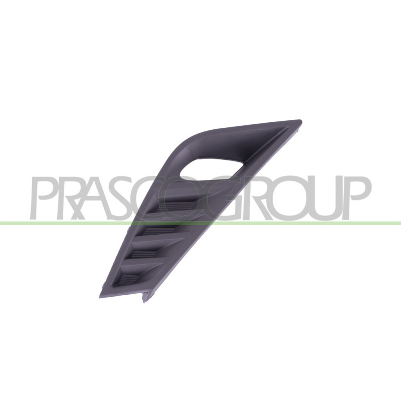 Grille côté passager Surface Gruanuleuese de Pare-Chocs-Noire