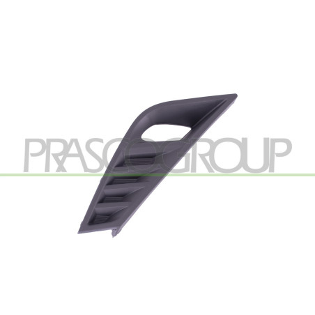 Grille côté passager Surface Gruanuleuese de Pare-Chocs-Noire