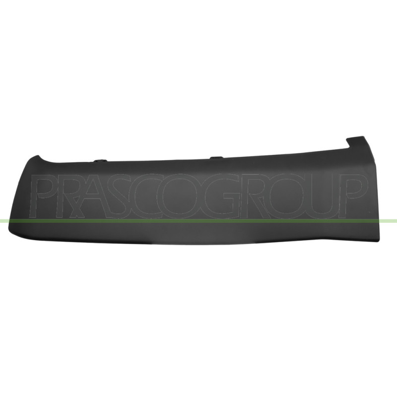 Embout côté chauffeur de Pare Chocs Arriere-Noire