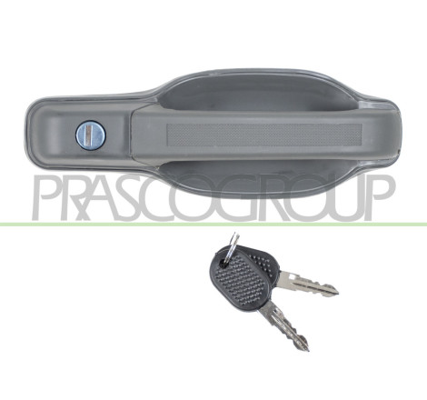 Poignée extérieure gris