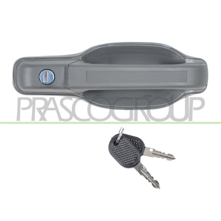 Poignée extérieure gris