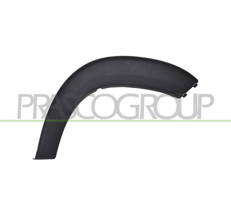 Extension d'Aile arrière côté chauffeur-Partie Avant-Noire Structure'