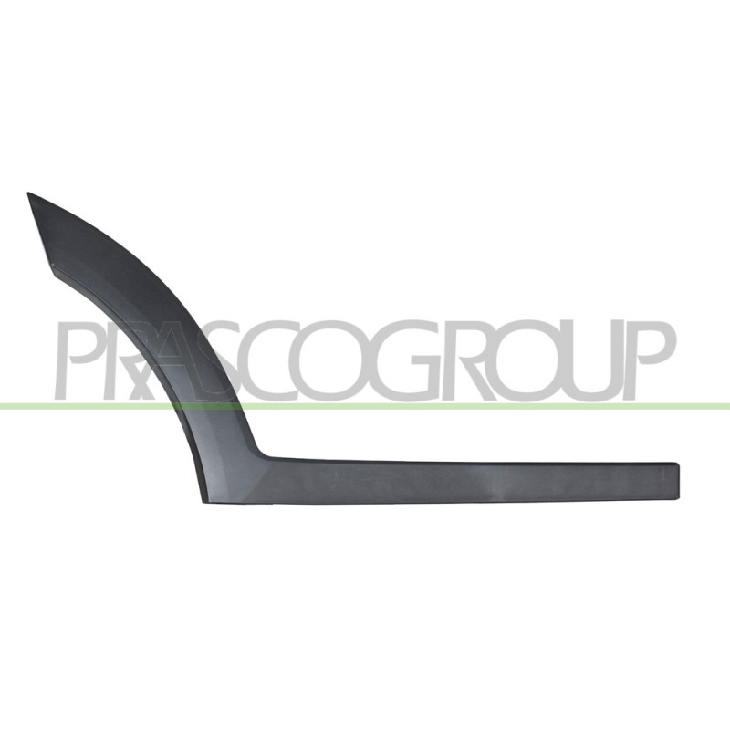 Moulure de Porte arrière côté passager-avec Clips-Noire-Structuree