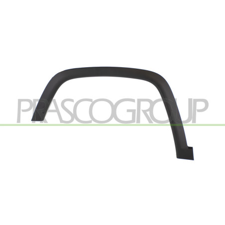 Extension d'Aile avant côté chauffeur-Noire Structure'