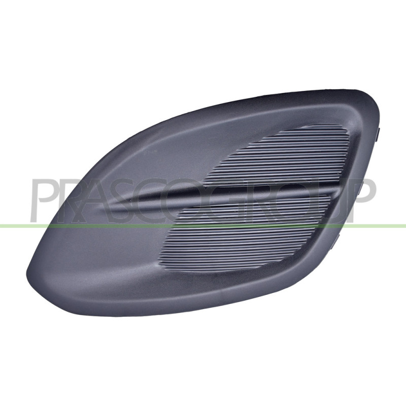 Cache Antibrouillard côté chauffeur-Noir-Structure'