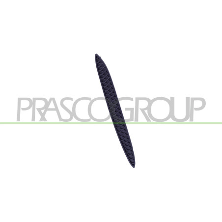 Grille côté passager de Pare-Chocs arrière Noire Mod. Amg