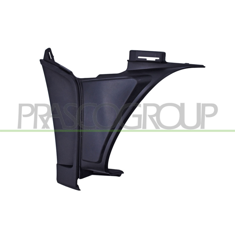 Embout côté passager de Pare Chocs Avant-Noire