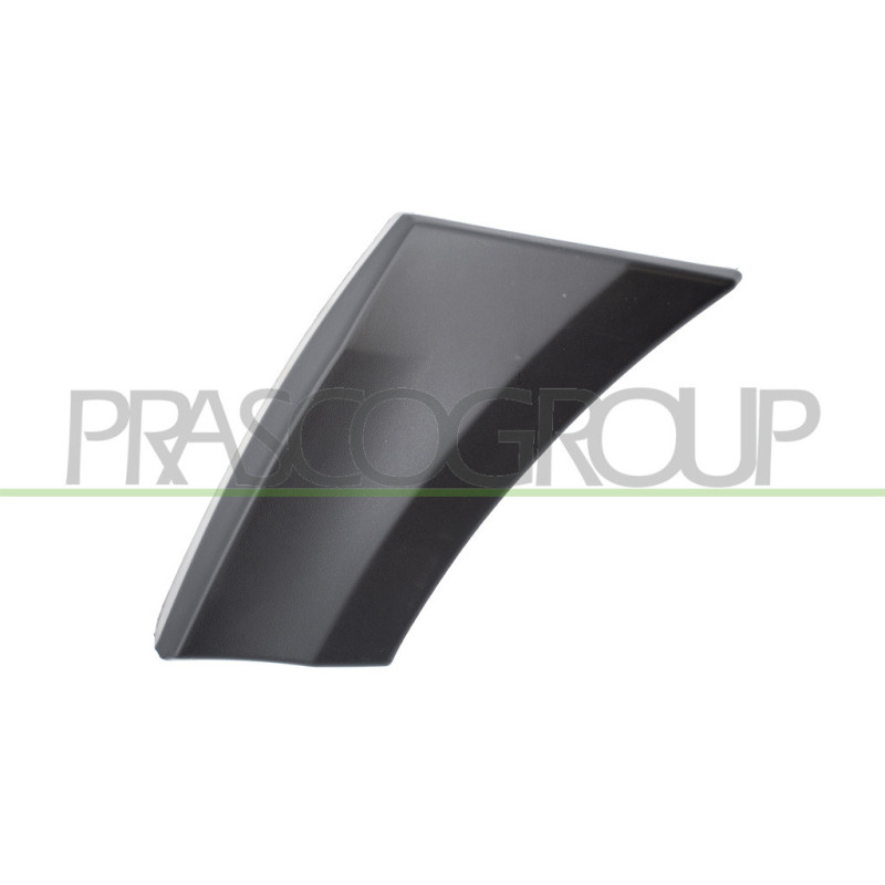 Moulure d'Aile avant côté chauffeur-Noire-Structuree