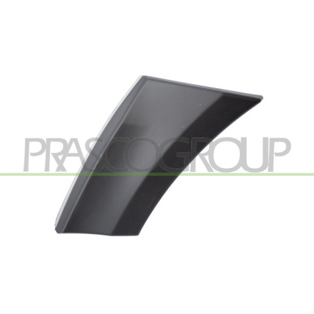 Moulure d'Aile avant côté chauffeur-Noire-Structuree