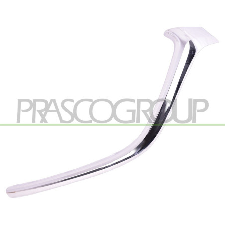 Moulure Chromee côté chauffeur de Grille de Calandre