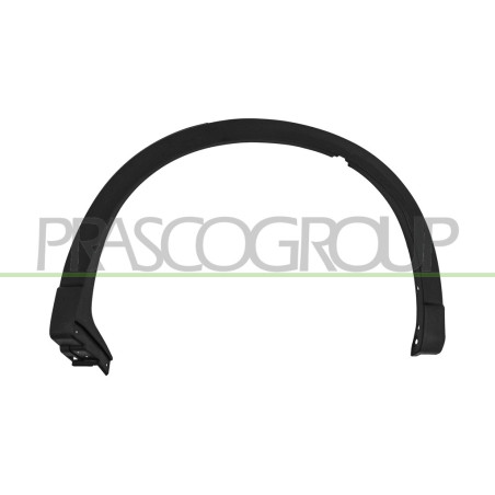 Extension d'Aile arrière côté chauffeur-Noire Structure'-avec Clips