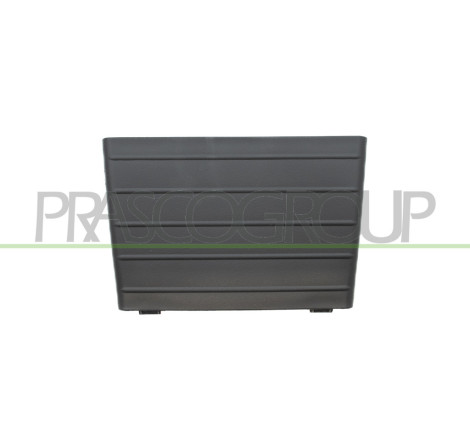 Grille Centrale de Pare-Chocs-Fonction Regulateur de Vitesse