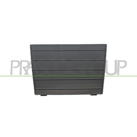 Grille Centrale de Pare-Chocs-Fonction Regulateur de Vitesse