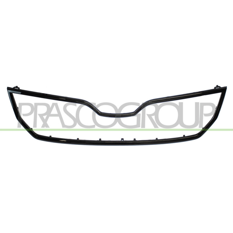 Moulure Noire de Grille de Calandre