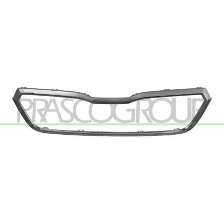 Cadre De Grille-Chromé