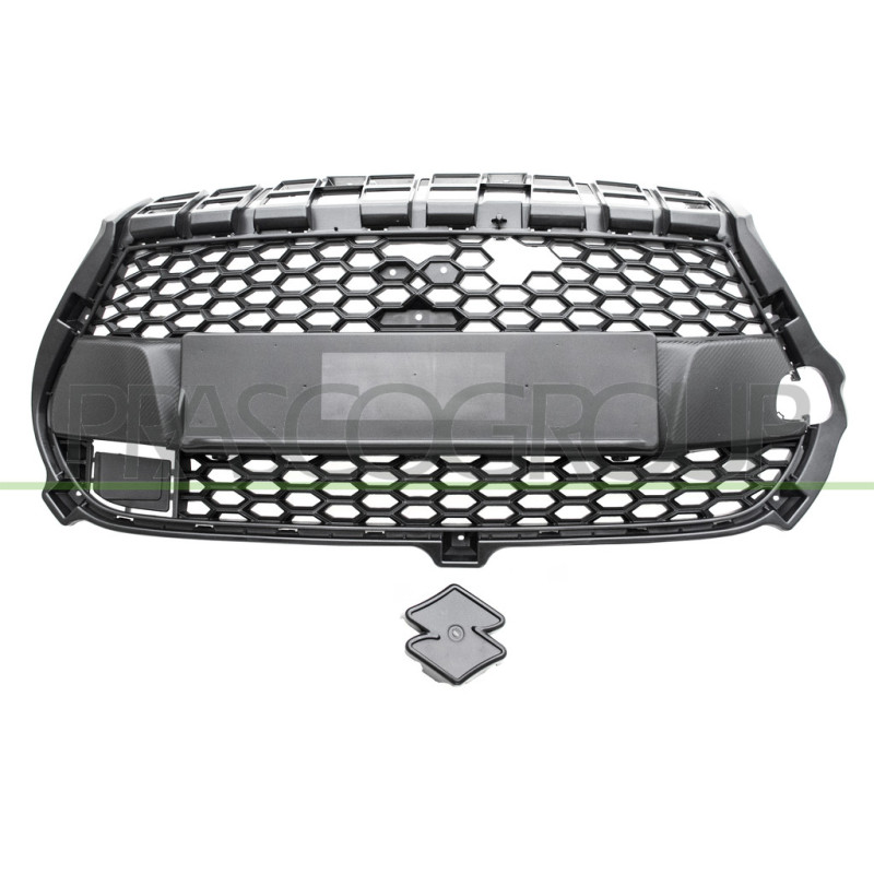 Grille Calandre Noire-avec Regulateur de Vitesse