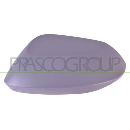 Coquille De Retroviseur Gauche Avec Appret