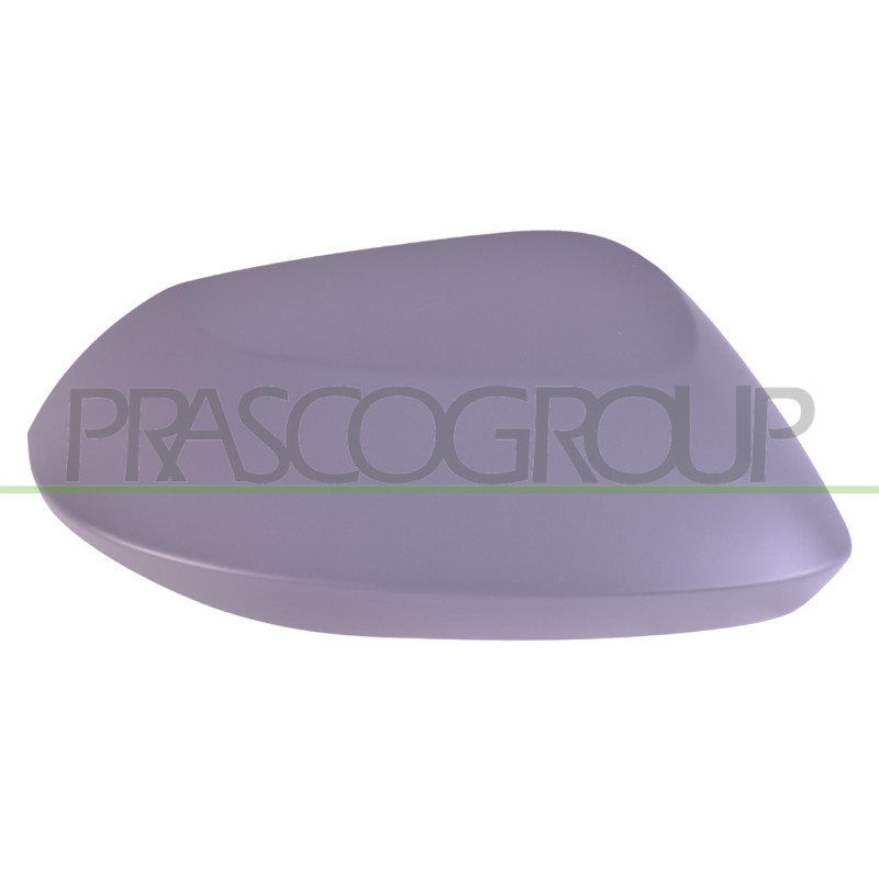 Coquille De Retroviseur Droite Avec Appret