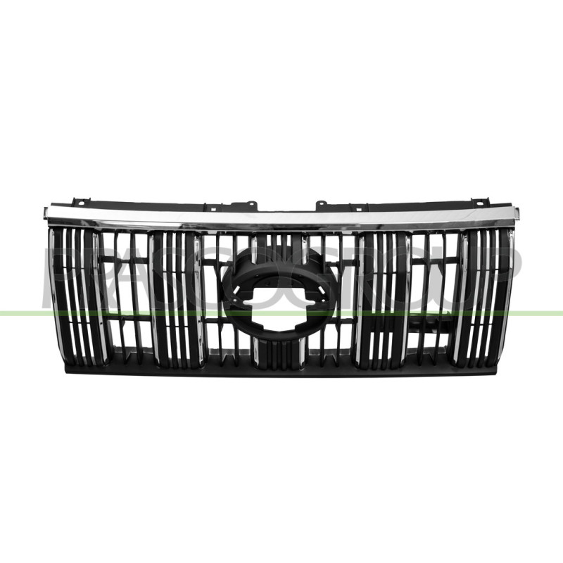 Grille De Calandre-Noire-Avec Moulure Chromee