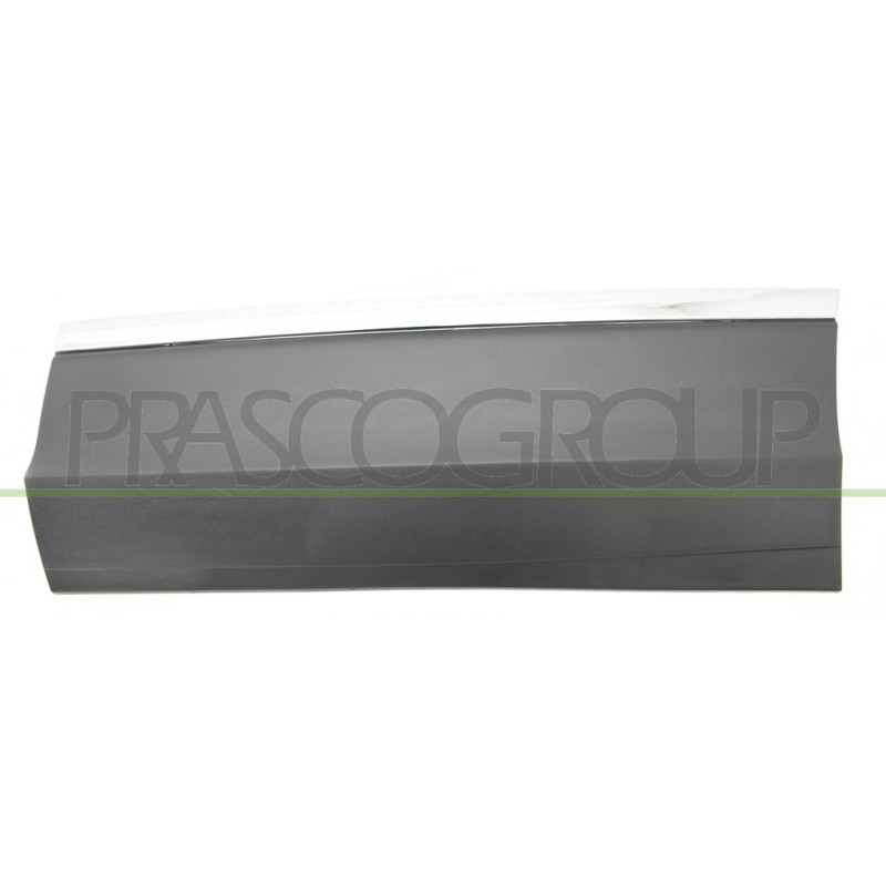 Moulure de Porte arrière côté chauffeur-Noire-Structuree-avec Profil Chrome'-ave