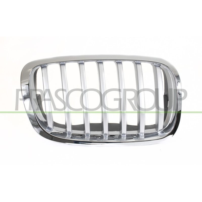 Grille Calandre côté passager-Chromee/Titane