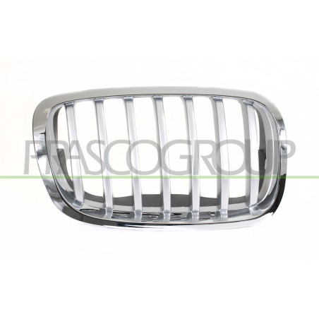 Grille Calandre côté passager-Chromee/Titane