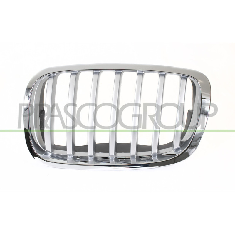 Grille Calandre côté chauffeur-Chromee/Titane